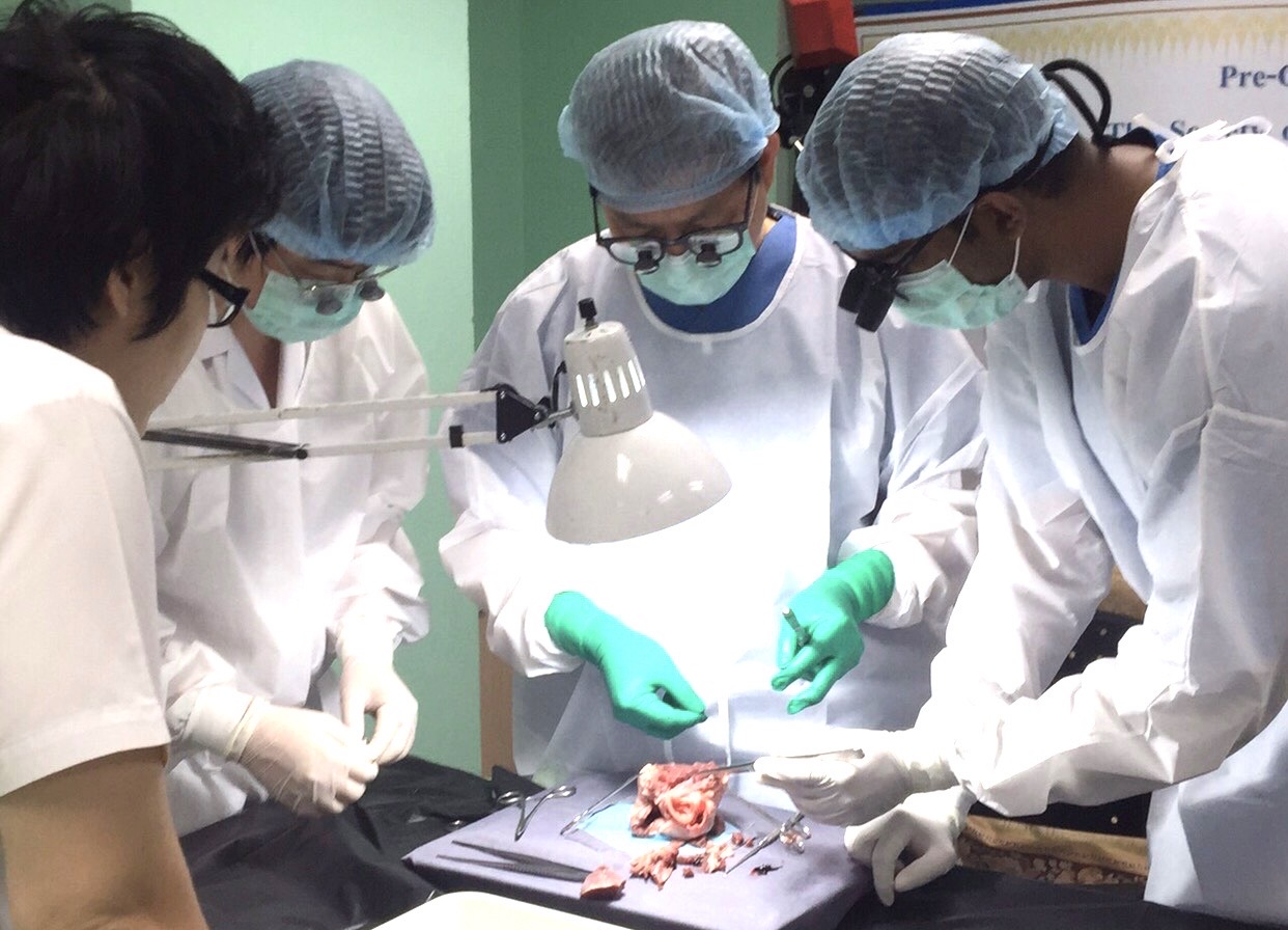 CCIT – International Cardiac Surgery Training Program